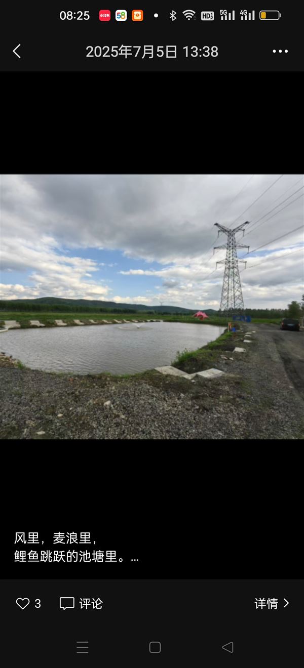 大风车鱼塘——出租/出售