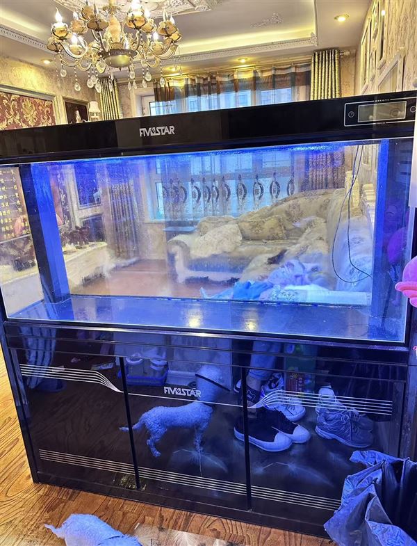 自用水族箱转让
